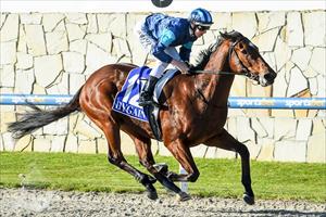 Alfa Oro debuts with a 6 length win at Pakenham